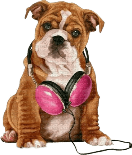 dog by nataliplus - png grátis