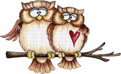 Kaz_Creations Birds Bird Owls Owl - Zdarma animovaný GIF