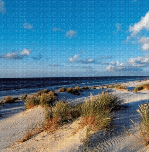 Rena Strand Meer Dünen Hintergrund - δωρεάν png