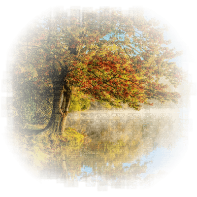Autumn - png grátis