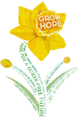 Daffodil Day bp - PNG gratuit