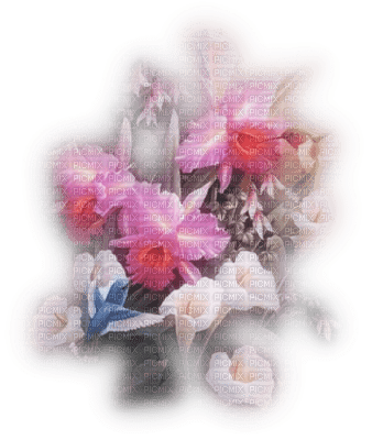 tube fleurs - PNG gratuit
