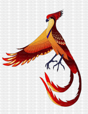 phoenix.Cheyenne63 - Ücretsiz animasyonlu GIF