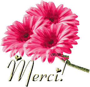 Merci en fleurs - Бесплатный анимированный гифка