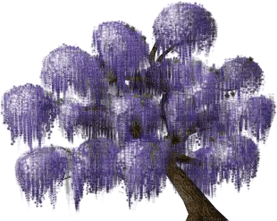 spring trees bp - gratis png