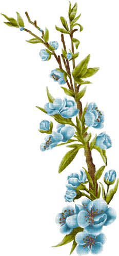 kikkapink deco scrap branch blue flowers - ücretsiz png