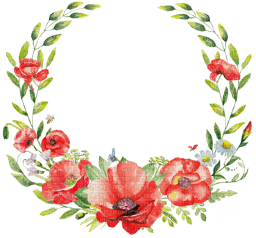 loly33 frame coquelicot - kostenlos png