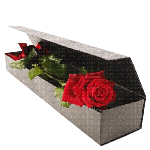 red rose gift - png ฟรี