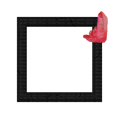 Small Black Frame - 免费动画 GIF