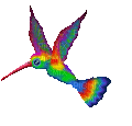 hummingbird gif - Бесплатный анимированный гифка