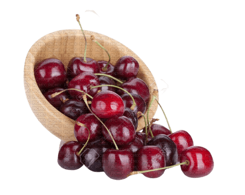 cherry,tree,vase - 免费PNG