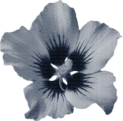 Tube Scrap-Décoration Fleur - zdarma png