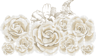 rose blanche.Cheyenne63 - ingyenes png