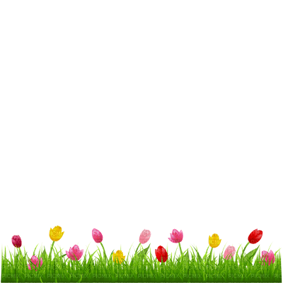 tulips png - Free PNG