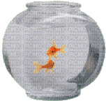 fish bowl bp - GIF animasi gratis