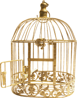 Cage.Jaula.Gold.Victoriabea - Free PNG