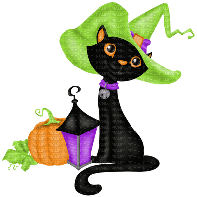 halloween witch cat sorciere chat - png ฟรี