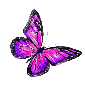 dolceluna pink watercolor butterfly spring png - png grátis