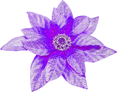 Christmas.Flower.Purple - bezmaksas png