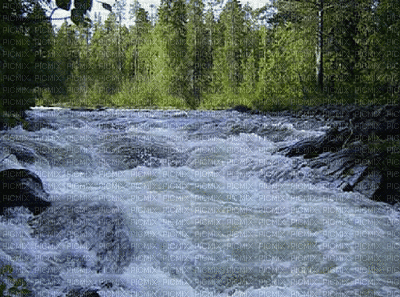 fiume - Gratis animeret GIF