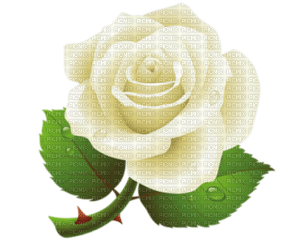 white rose by nataliplus - gratis png