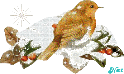 oiseaux - GIF animé gratuit
