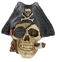 Pirates.skull.pirate.crâne.Victoriabea - 免费PNG