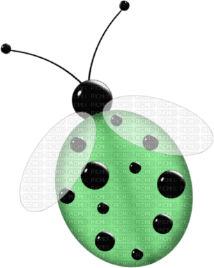 Kaz_Creations Deco Ladybug Ladybugs  Colours - Free PNG