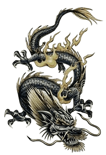 dragon by nataliplus - png ฟรี