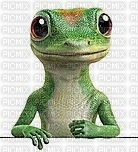lizard - 免费PNG
