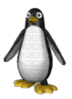 pinguin - GIF animate gratis