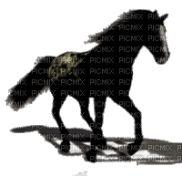 cheval noir - GIF animado gratis