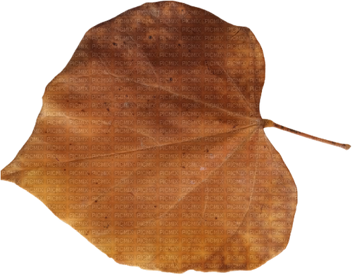 Autum Leaf - PNG gratuit