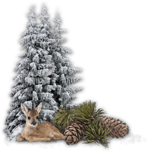 winter trees deer - PNG gratuit