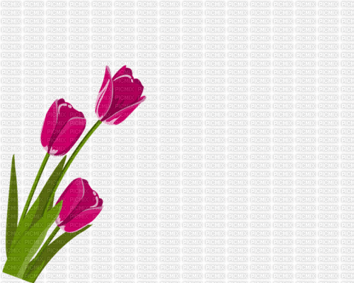 fiore - Besplatni animirani GIF