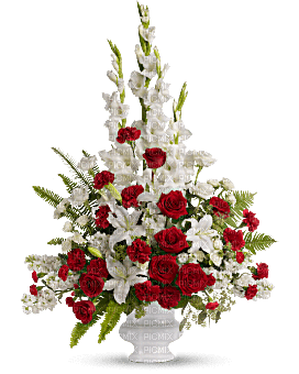 Kaz_Creations Deco Flowers Vase Colours Plant - zdarma png