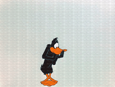 daffy duck - Nemokamas animacinis gif