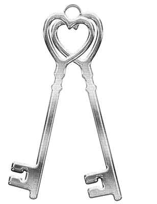 avain asuste key accessories - 免费PNG