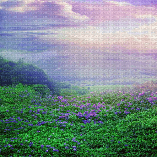 Y.A.M._Landscape background - nemokama png