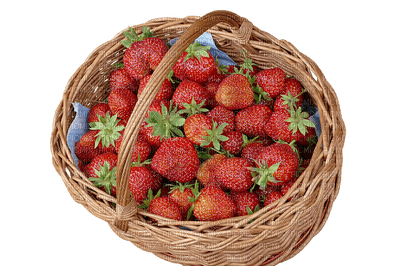 fresas - png gratis