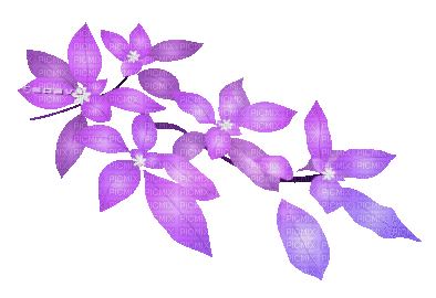 soave deco animated leaves spring summer purple - GIF animé gratuit