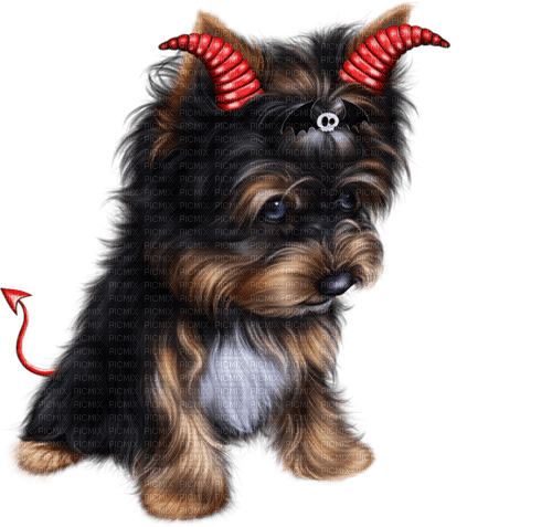 Dog Puppy Chien Halloween Devil - Free PNG