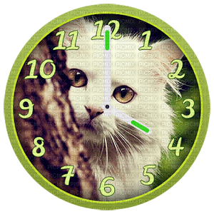Kaz_Creations Cats Cat Clock - png grátis