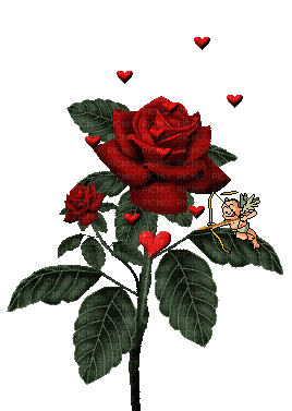 rosas by EstrellaCristal - Безплатен анимиран GIF