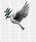 colombe - GIF animado grátis