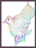 rainbow dove - GIF animé gratuit