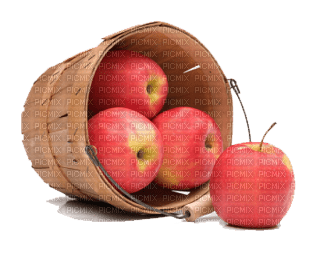 Apples bp - zadarmo png