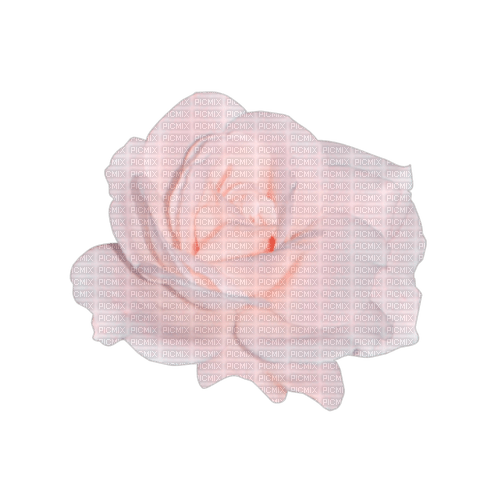 Nina rose - ücretsiz png