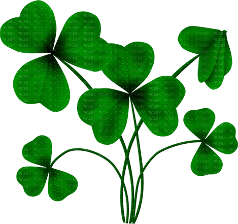 Clovers.Green - δωρεάν png