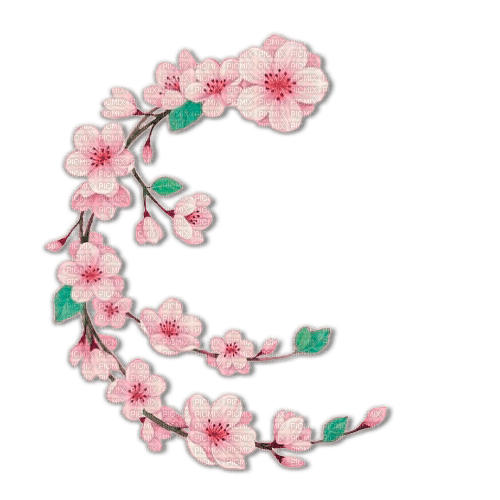 Pink cherry blossom deco [Basilslament] - bezmaksas png